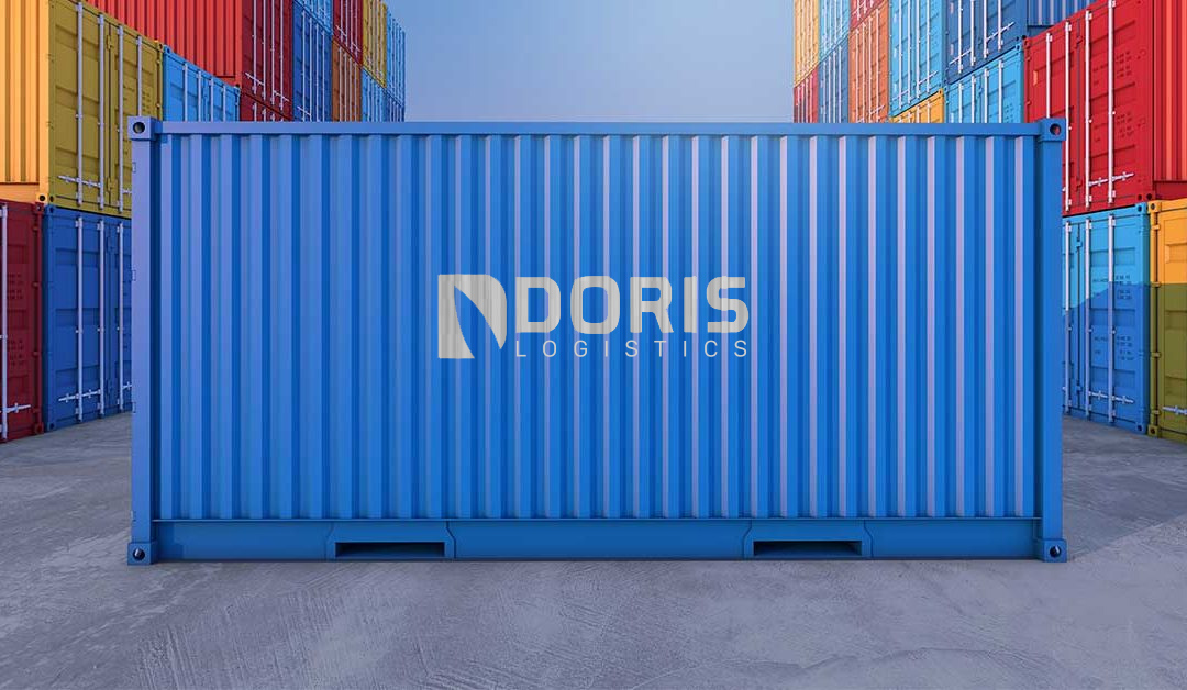 Proje Taşımacılığı